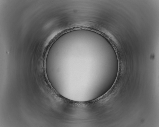X0000093090878200709261227