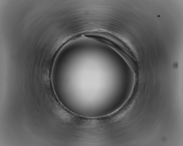 X0000093090881200709261227