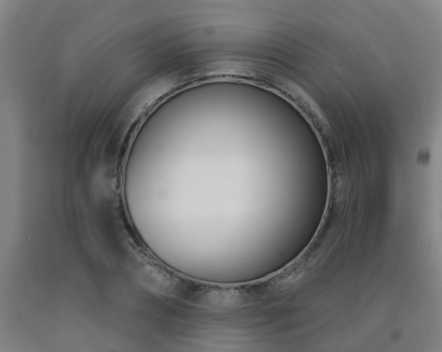 X0000093090882200709261227