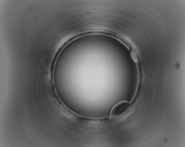 X0000093090883200709261227