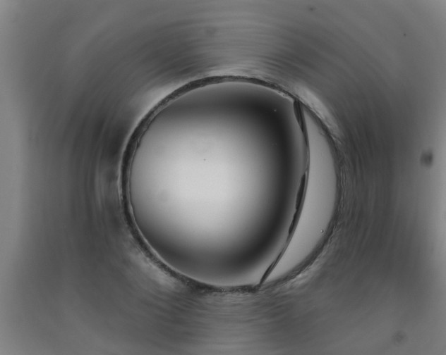 X0000093090884200709261227