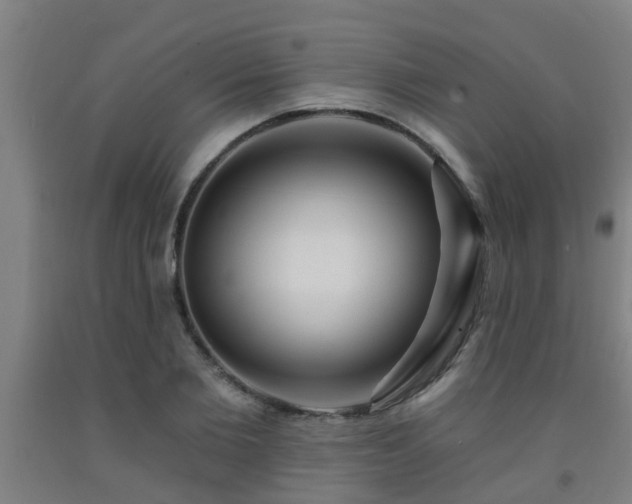 X0000093090885200709261227