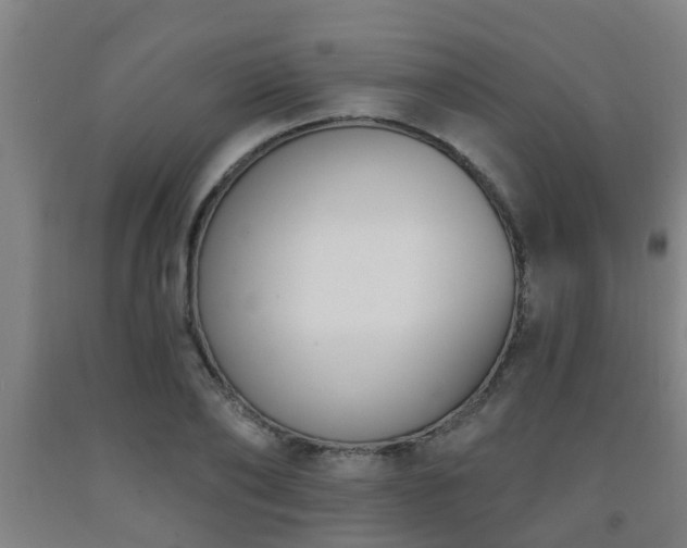 X0000093090886200709261227