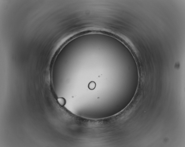 X0000093090887200709261227