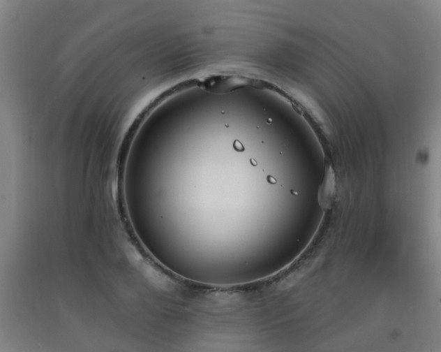 X0000093090888200709261227
