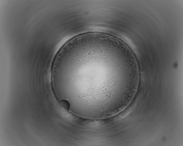 X0000093090891200709261226