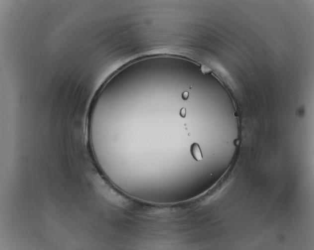 X0000093090892200709261226