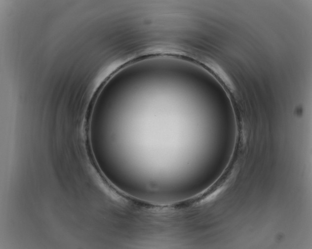 X0000093090893200709261226