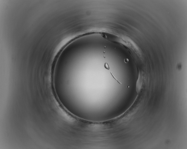 X0000093090894200709261226