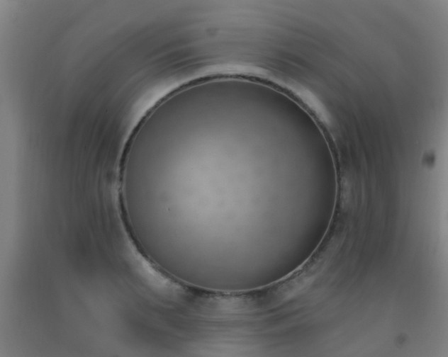 X0000093090895200709261226