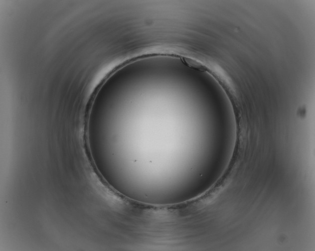 X0000093090896200709261226