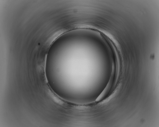 X0000093090897200709261226