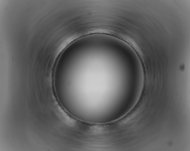 X0000093090898200709261226