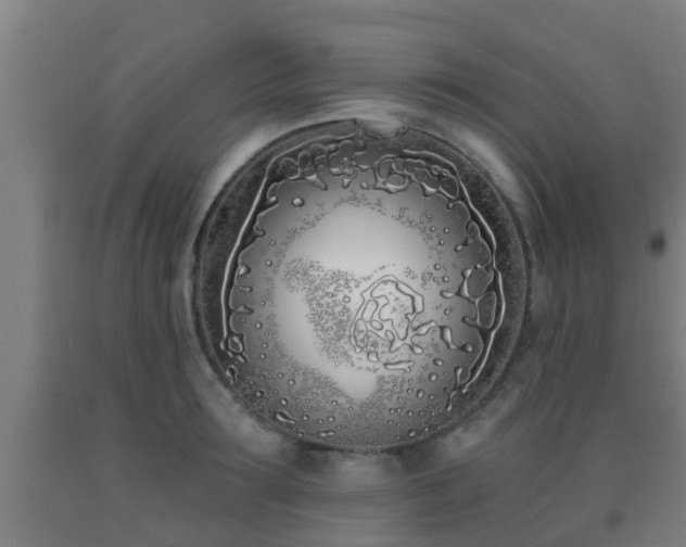 X0000093090899200709261226
