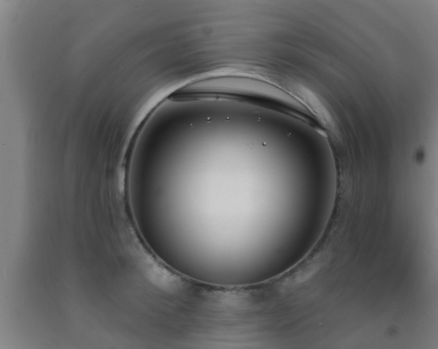 X0000093090900200709261226