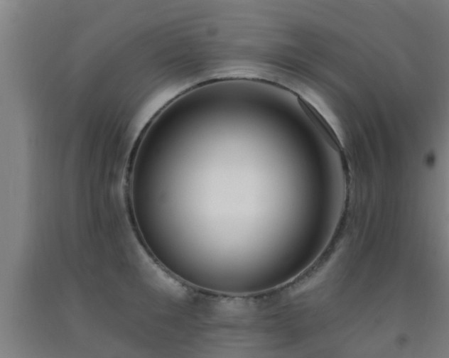 X0000093090901200709261226