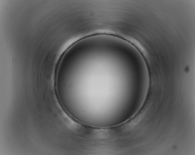 X0000093090902200709261226