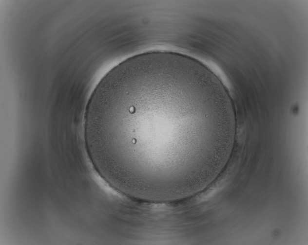 X0000093090903200709261226