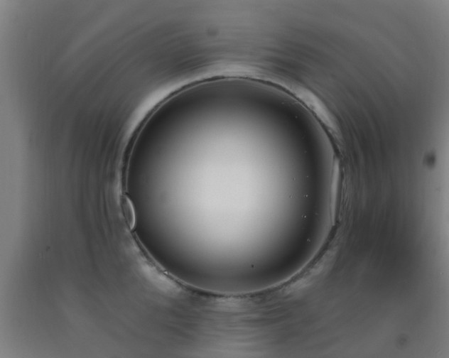 X0000093090904200709261226