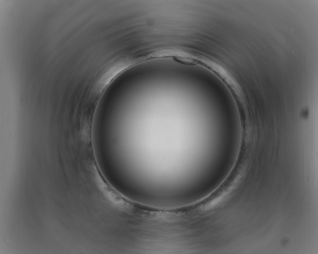 X0000093090905200709261226
