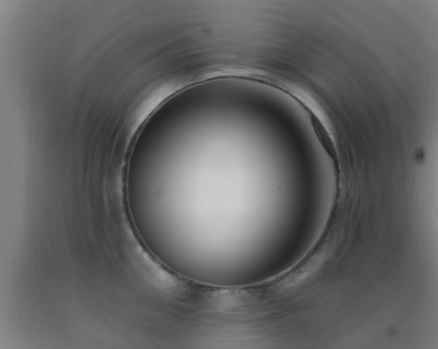 X0000093090906200709261226