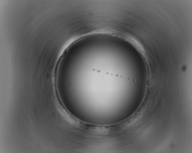X0000093090907200709261226