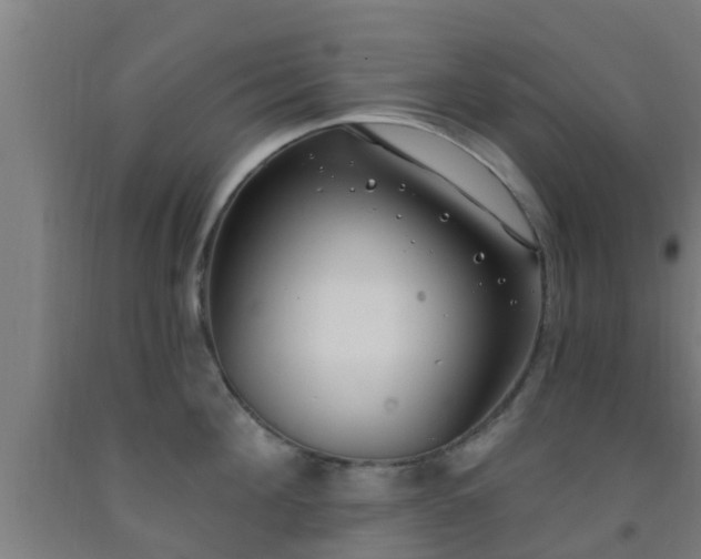 X0000093090908200709261226