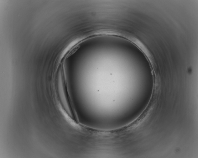 X0000093090909200709261226