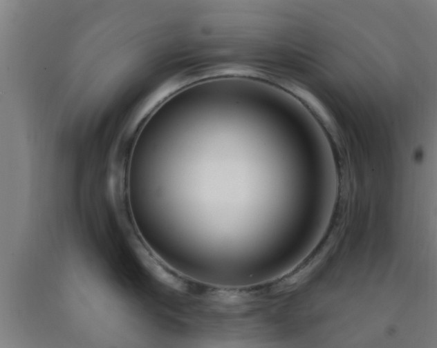 X0000093090910200709261226