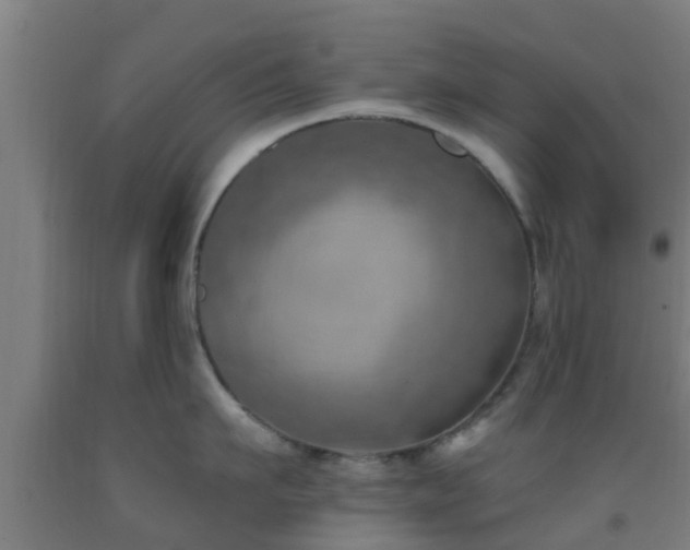X0000093090911200709261226