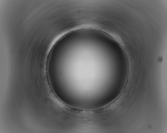 X0000093090912200709261226