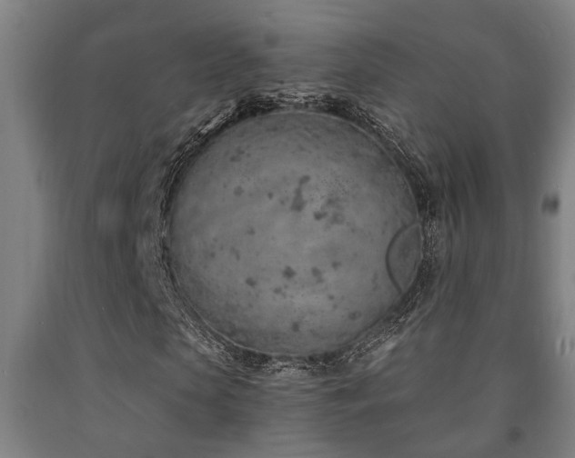 X0000093090913200709261225