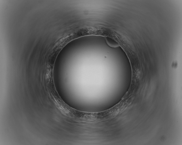 X0000093090914200709261225