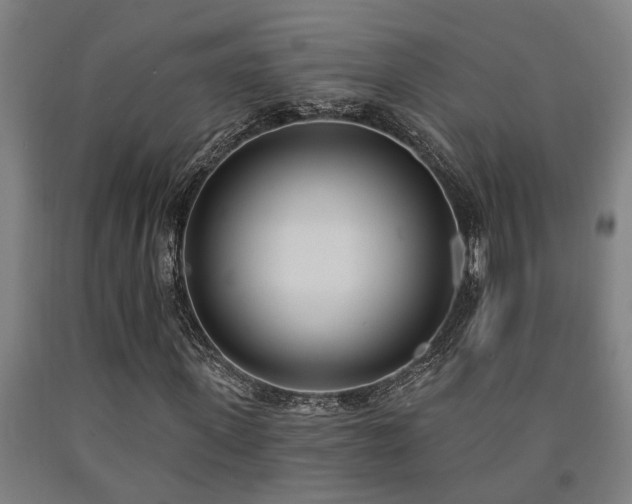 X0000093090915200709261225