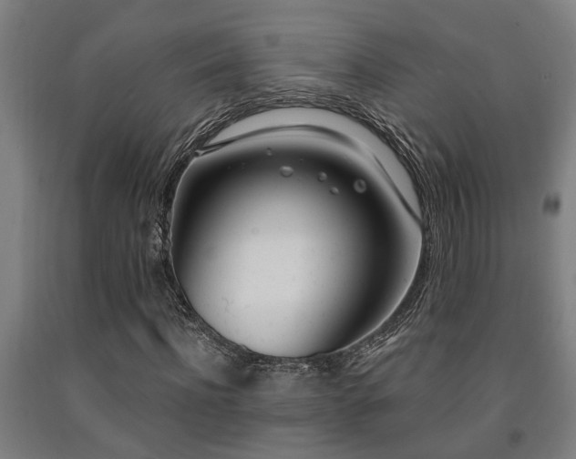 X0000093090916200709261225