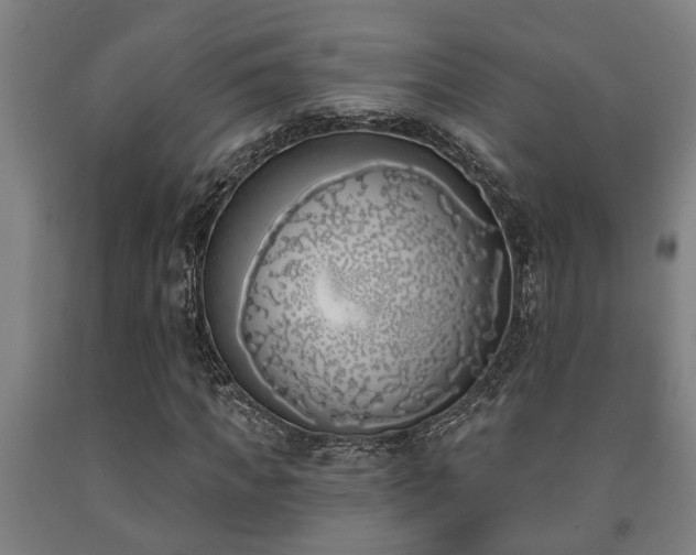 X0000093090917200709261225