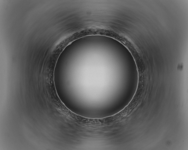 X0000093090919200709261225