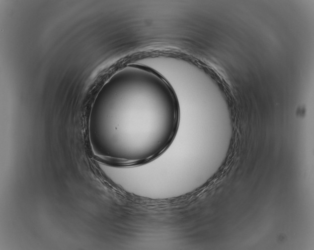 X0000093090920200709261225