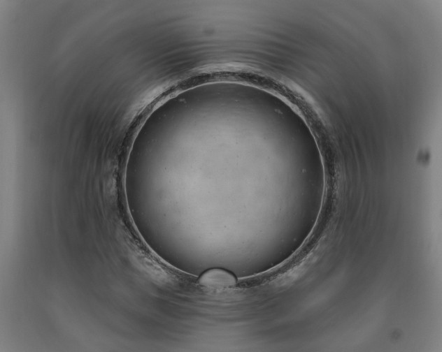 X0000093090921200709261225