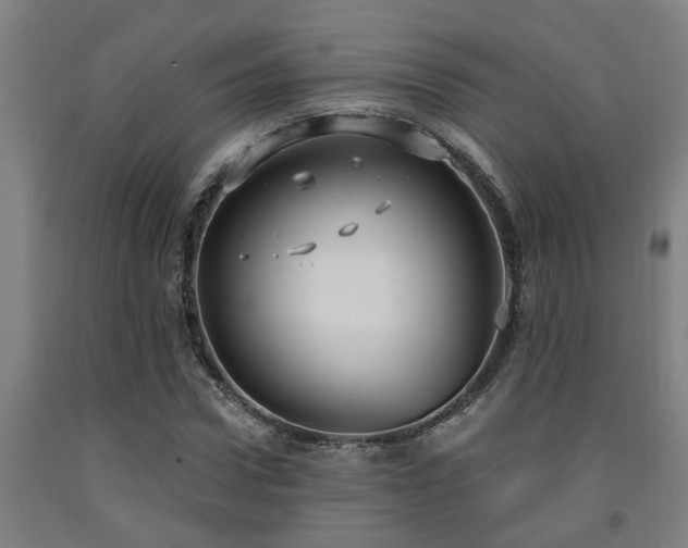 X0000093090922200709261225