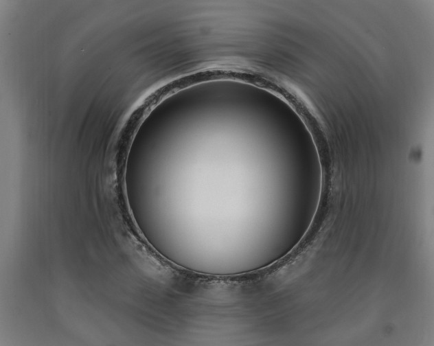 X0000093090923200709261225