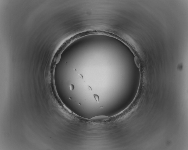 X0000093090924200709261225