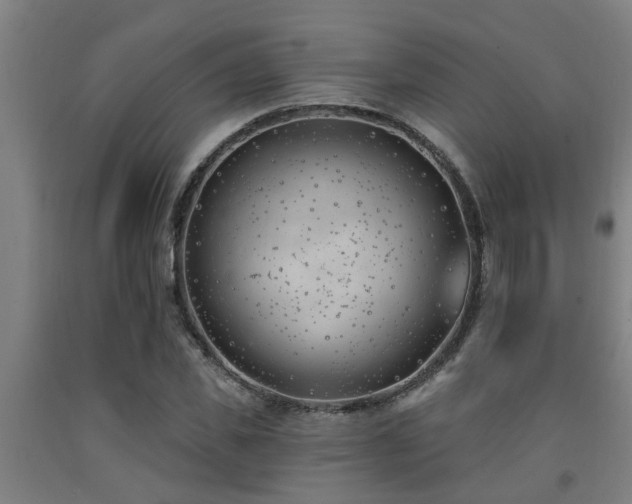 X0000093090925200709261225