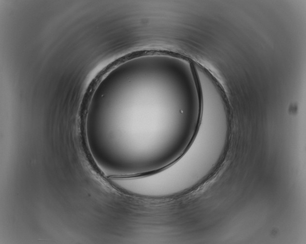X0000093090928200709261225