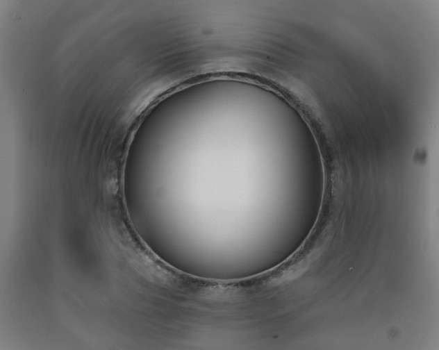 X0000093090929200709261225