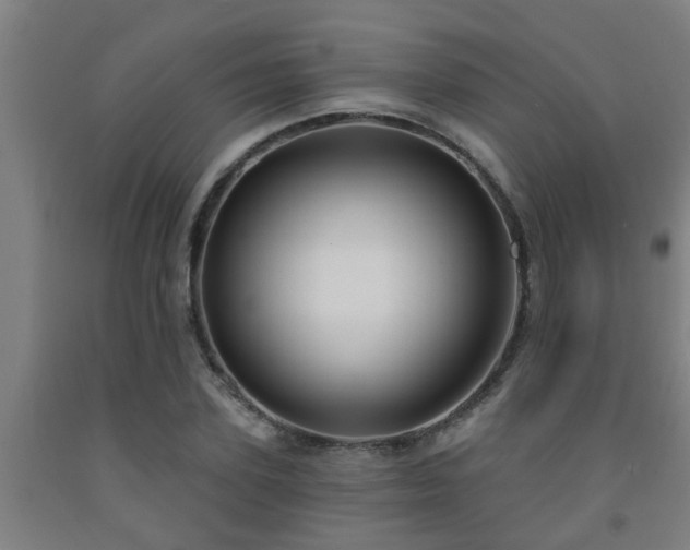 X0000093090931200709261225
