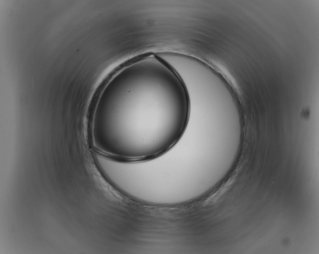X0000093090932200709261226