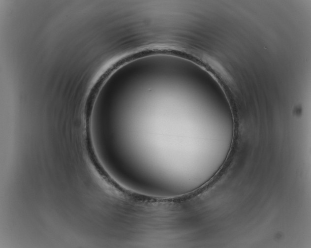 X0000093090934200709261226