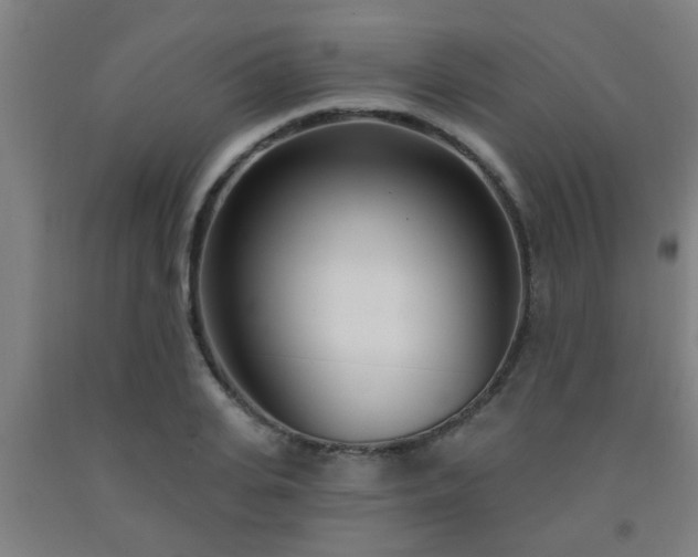 X0000093090935200709261226