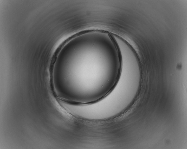 X0000093090936200709261226